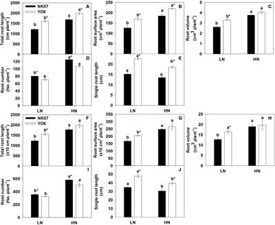 Varietal responses of root characteristics to low nitrogen application explain the differing nitrogen uptake and grain yield in two rice varieties